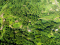 Lot 23 - Vatudamu Heights Lot 23 - Vatudamu Heights